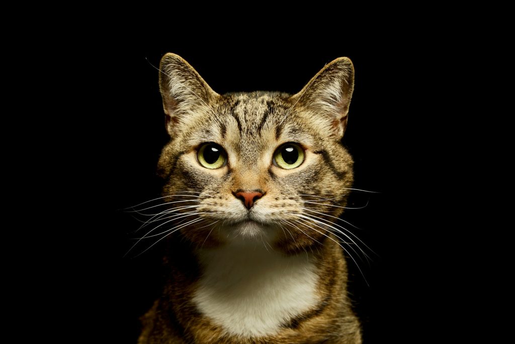 Sorry! Image not available at this time