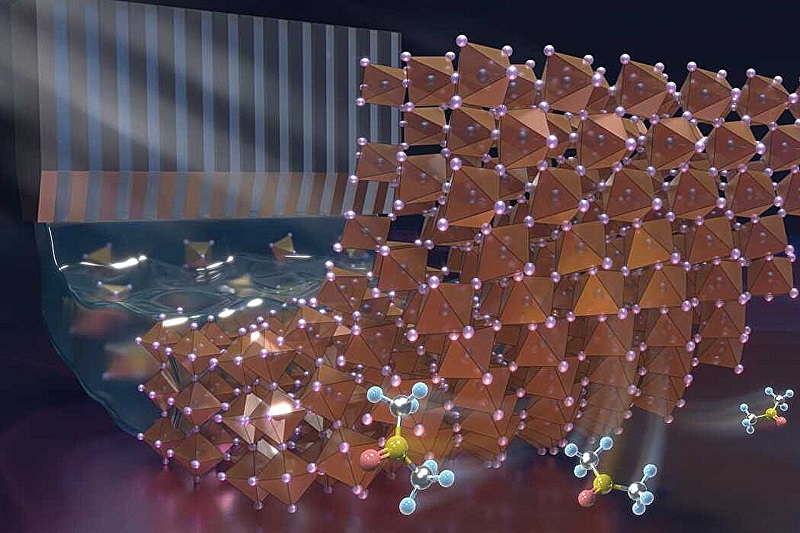 Sorry! Image not available at this time