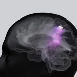 Study shows Alzheimer’s hidden “death switch” in the brain