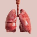 Man lives 48 hours without lungs thanks to breakthrough medical system