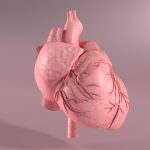 Common blood pressure drug may harm some heart failure patients