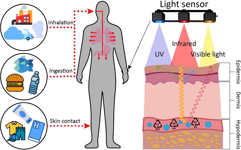 Sorry! Image not available at this time
