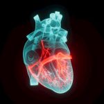 AI could reveal heart disease risk years earlier