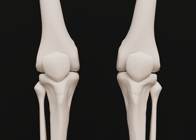 Sorry! Image not available at this time