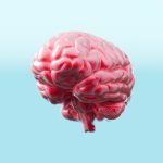 Study finds a new cause of memory loss in older people