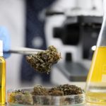 Medical Marijuana May Slightly Raise Heart Rhythm Risk