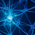 One ‘Magic Mushroom’ Dose May Keep the Brain Flexible for Weeks