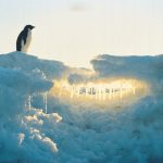 Scientists discover a hidden ocean process speeding up Antarctic ice melt