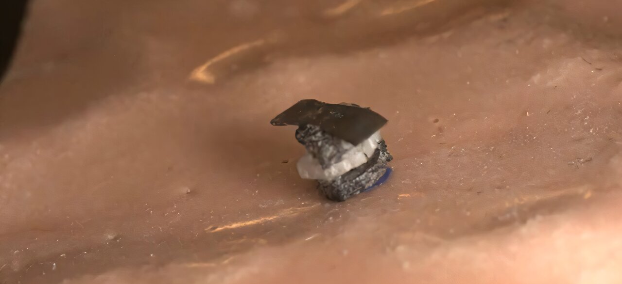knowridge.com - Knowridge - Tiny '5-in-1' Surgical Robot Could Transform Future Medicine