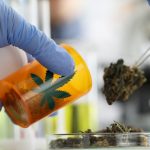 Marijuana May Leave Lasting Marks on Human DNA