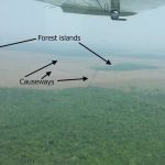 An ancient Amazonian world revealed from the sky