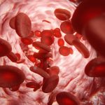 Hidden Fat Around Blood Vessels Could Hold the Key to Preventing Heart Disease