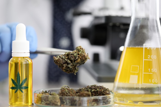 knowridge.com - Knowridge - CBD may protect the brain from Alzheimer's damage