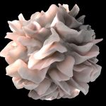 Creatine could help the immune system fight cancer more effectively, study finds