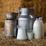 Is Cow’s Milk Better Than Plants Milk?