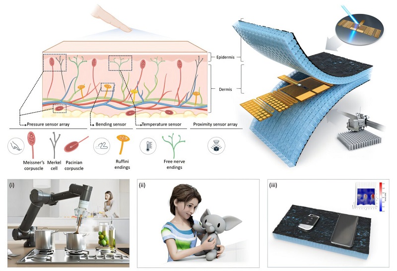 knowridge.com - Knowridge - New electronic skin can be made onsite, bringing smarter robots and wearables closer to reality