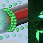 New light-powered device can detect dangerous bacteria in just 60 seconds