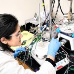 Scientists turn coal ash waste into a valuable source of rare earth elements