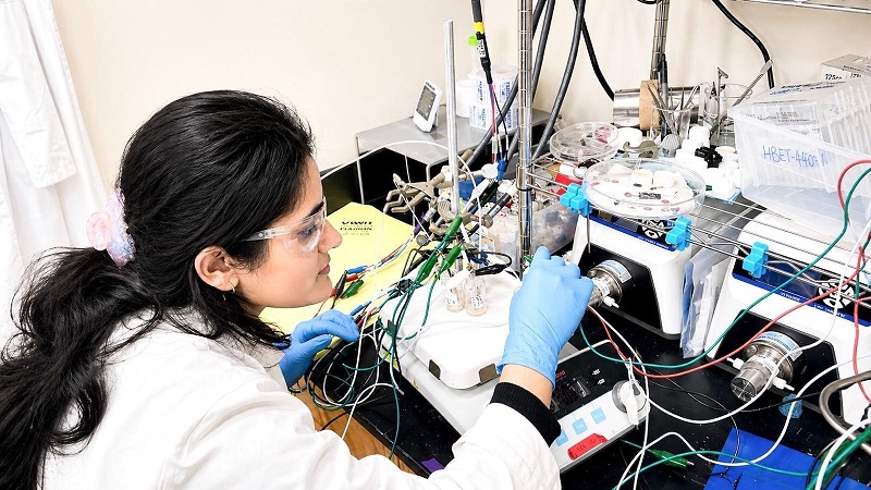 knowridge.com - Georgia Institute of Technology - Scientists turn coal ash waste into a valuable source of rare earth elements