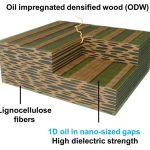 Scientists turn wood into a super insulator that could strengthen the power grid