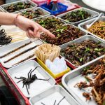 Think you’d never eat bugs? A study suggests you might actually enjoy them