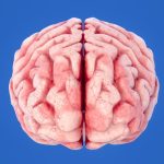 Repairing Damaged DNA Could Help Fight Against Alzheimer’s