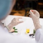 Why Cannabis Users Have a Lower Risk of Type 2 Diabetes