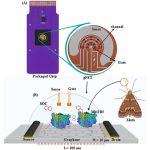 Scientists Turn Insect Smell Receptors into a Powerful Electronic Nose on a Chip