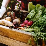 Chewing Gum after Beetroot May Help Lower Blood Pressure