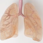 New Drug Combo Could Treat An ‘Undruggable’ Type of Lung Cancer