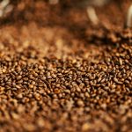 Your Morning Coffee Waste Could Become Clean Fuel