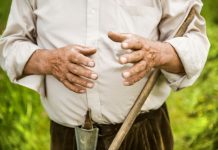 Gut Bacteria May Play a Key Role in Parkinson’s