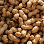 Could Peanuts Make Cancer Spread Faster?