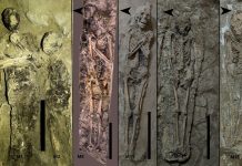 16 Mummies and a Dog Reveal Secrets of Ancient Egyptian Burial Practices