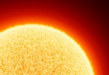 Ancient Trees Reveal a Terrifying History of Monster Solar Storms