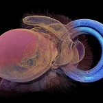 Butterfly-Inspired Device Can Detect Airborne Viruses Without Electricity