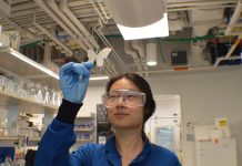 Butterfly-Inspired Crystals Could Create Safer, Longer-Lasting Glitter