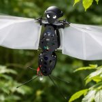 Engineers Solve a Key Problem Holding Back Bird-Inspired Flying Robots
