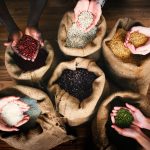How a Whole-Grain Compound Influences Gut Movement