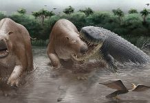 Giant Crocodylians Ruled South America’s Food Chain 10 Million Years Ago