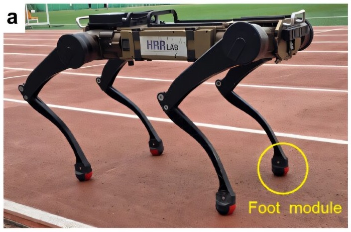 knowridge.com - Knowridge - New 3D-Printed Robot Feet Cut Battery Use by Up to 6.2%, Study Finds