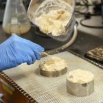 New Wood-Based Foam Could Replace Plastic Insulation In Coolers