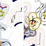 Scientists Give Enzymes New Abilities Not Normally Found in Nature