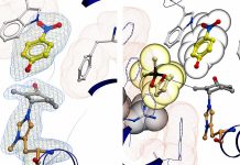 Scientists Give Enzymes New Abilities Not Normally Found in Nature