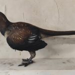 How the World’s First Bird Took Flight
