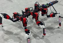 Six-Legged Robot Learns to Walk by Copying a Stick Insect