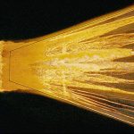 Space Rocks Don’t Just Burn Up—Scientists Discover What Really Happens