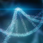 Gene Changes May Reveal Why Spinal Discs Break Down and Harden
