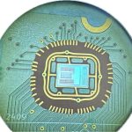 Tiny Fruit Fly Brain Inspires a Smarter, More Efficient AI Algorithm