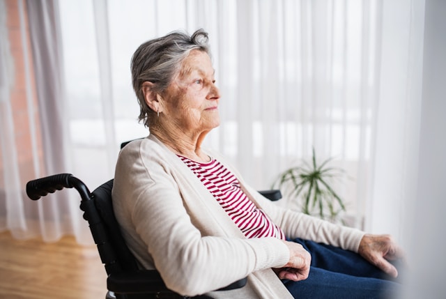 knowridge.com - Knowridge - Study Finds Hidden Cause of Sleep Issue in Alzheimer's Disease